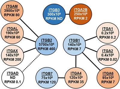 Proteomics of Eosinophil Activation